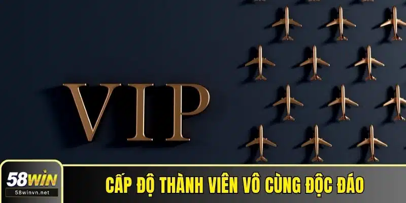 Cấp độ thành viên vô cùng độc đáo