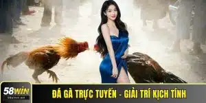 Đá gà trực tuyến