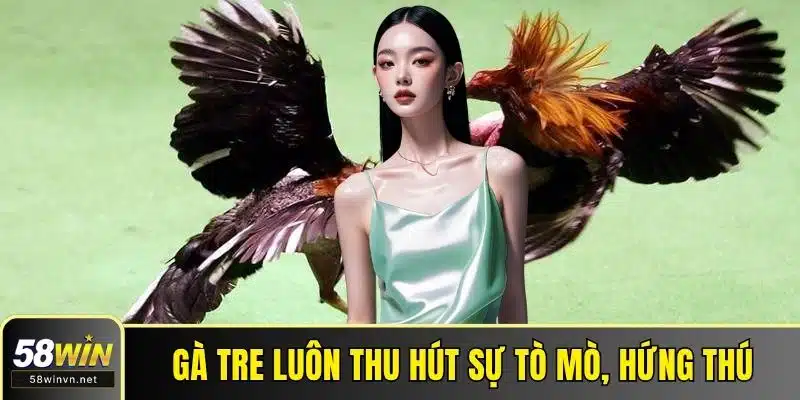 Gà tre luôn thu hút sự tò mò, hứng thú
