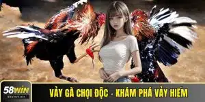 Vảy gà chọi độc